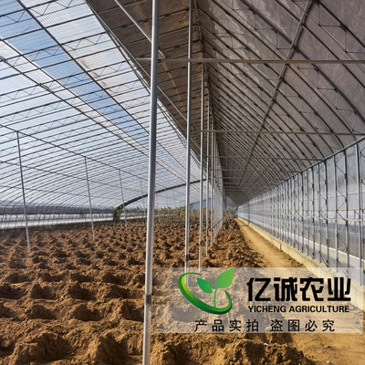 如何選擇優(yōu)質(zhì)的日光溫室建設(shè)廠家？億誠農(nóng)業(yè)專家解析選廠要點(diǎn)